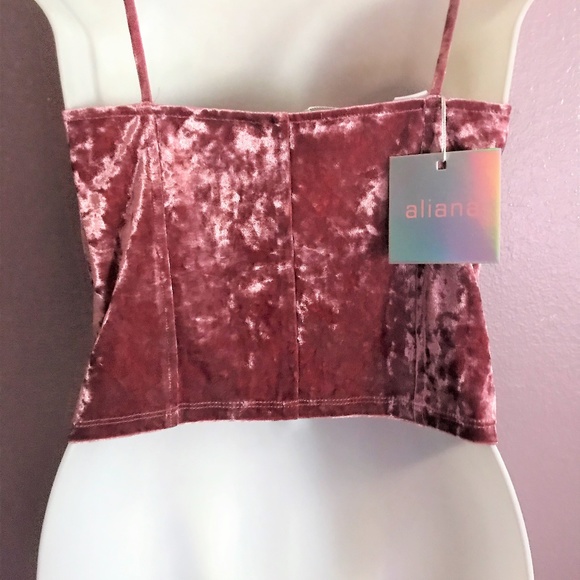 NWT Aliana | pink velvet top - Picture 3 of 8